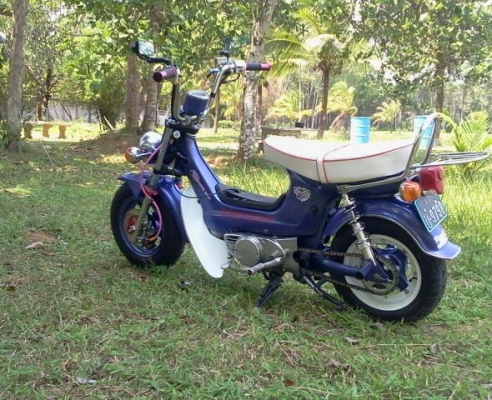 ขายชาลีแต่งสวยๆคับ