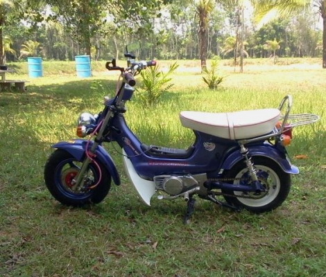 ขายชาลีแต่งสวยๆคับ