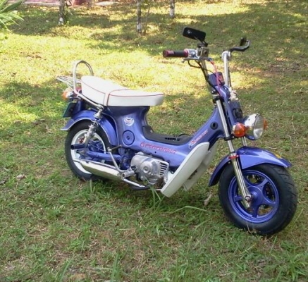 ขายชาลีแต่งสวยๆคับ