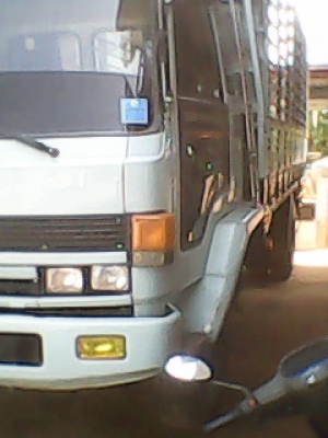 ขายร็อกกี้ยาว 5 เมตร