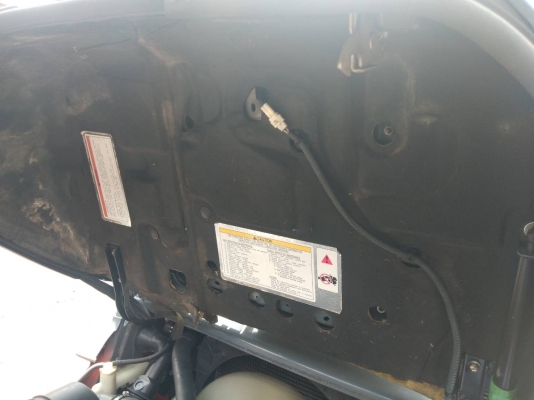 ขายด่วน