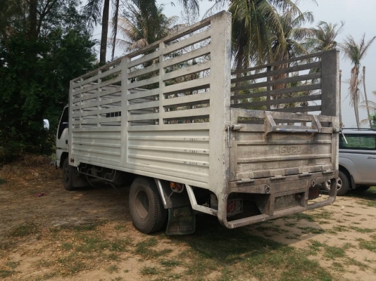 รหัส ML182 (ไม่มีแบตให้) ขาย ISUZU หัวการ์ตูน ยูโร 2 กระบะคอกสแตนเลส รหัส ML182 (ไม่มีแบตให้) ขาย ISUZU หัวการ์ตูน ยูโร 2 กระบะคอกสแตนเลส
