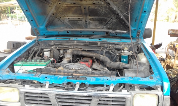 ขาย ปากแม็คโคเล็ก   (092-4475966)เบอร์เจ้าของ