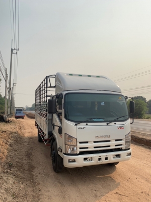 NQR 175 แรง ปี&rsquo;53 ยาว 5.50 เมตร รถมือแรก ยางเรเดียลใหม่ทุกเส้น สด-ผ่อน จักไฟแนนซ์ทั่วไทย