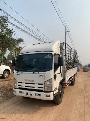 NQR 175 แรง ปี’53 ยาว 5.50 เมตร รถมือแรก ยางเรเดียลใหม่ทุกเส้น สด-ผ่อน จักไฟแนนซ์ทั่วไทย NQR 175 แรง ปี’53 ยาว 5.50 เมตร รถมือแรก ยางเรเดียลใหม่ทุกเส้น สด-ผ่อน จักไฟแนนซ์ทั่วไทย