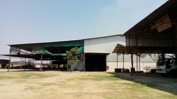 ขายโรงงาน ผลิตเชื้อเพลิงชีวมวลอัดแท่าง wood pellet