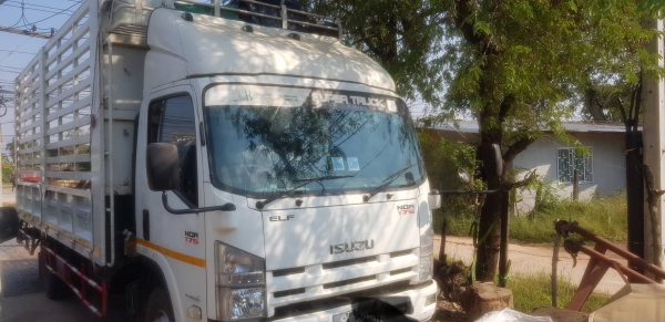 Isuzu NQR175แรง ปี56 เล่มพร้อมโอน Isuzu NQR175แรง ปี56 เล่มพร้อมโอน