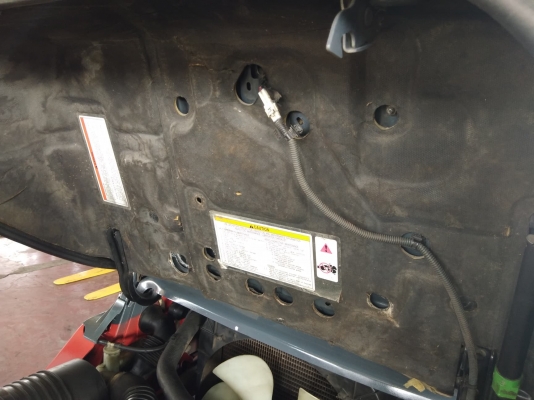 ขายด่วน