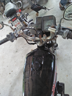 ขายคอนคอด135