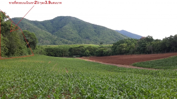 ขายที่ดินเพชรบูรณ์ มีโฉนดบนเนินเขาสวย ตรงข้ามอ่างเก็บน้ำ ใกล้อุทยานแห่งชาติ เนื้อที่2ไร่89ตรว.ไร่ละ 390,000บาท ขายที่ดินเพชรบูรณ์ มีโฉนดบนเนินเขาสวย ตรงข้ามอ่างเก็บน้ำ ใกล้อุทยานแห่งชาติ เนื้อที่2ไร่89ตรว.ไร่ละ 390,000บาท
