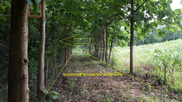 ขายที่ดินเพชรบูรณ์  มีโฉนดบนเนินเขาสวย ตรงข้ามอ่างเก็บน้ำ ใกล้อุทยานแห่งชาติ เนื้อที่2ไร่89ตรว.ไร่ละ 390,000บาท
