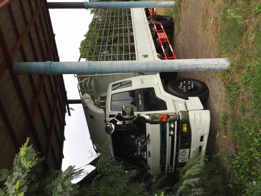 ขายรถ6ล้อ ISUZU ขายรถ6ล้อ ISUZU