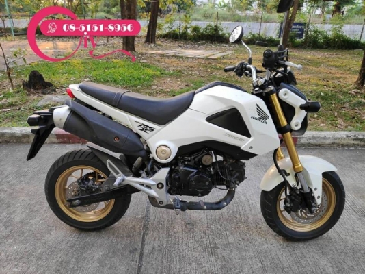 HONDA MSX ปี 56 เอกสารครบ รถใช้งานปกติ ลองได้เคหะร่มเกล้า HONDA MSX ปี 56 เอกสารครบ รถใช้งานปกติ ลองได้เคหะร่มเกล้า