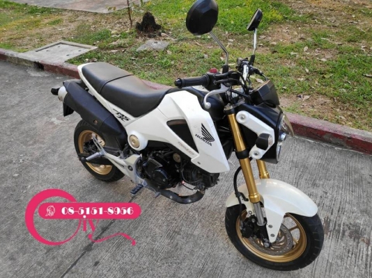HONDA MSX ปี 56 เอกสารครบ รถใช้งานปกติ ลองได้เคหะร่มเกล้า HONDA MSX ปี 56 เอกสารครบ รถใช้งานปกติ ลองได้เคหะร่มเกล้า