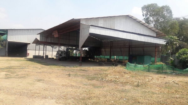 ขายโรงงานผลิต เชื้อเพลิง ชีวมวลอัดแท่ง Wood Pellet