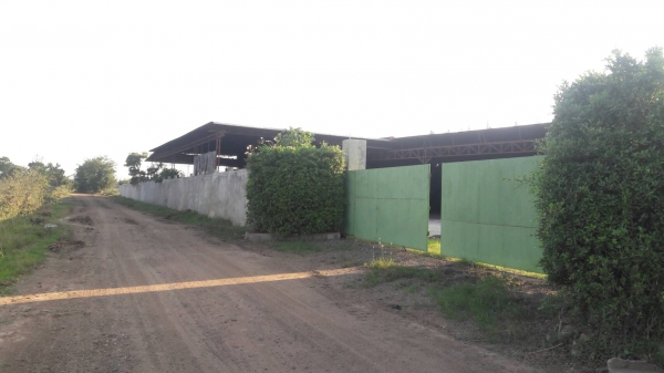 ขายโรงงานผลิต เชื้อเพลิง ชีวมวลอัดแท่ง Wood Pellet