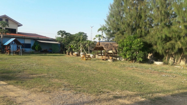 ขายโรงงานผลิต เชื้อเพลิง ชีวมวลอัดแท่ง Wood Pellet