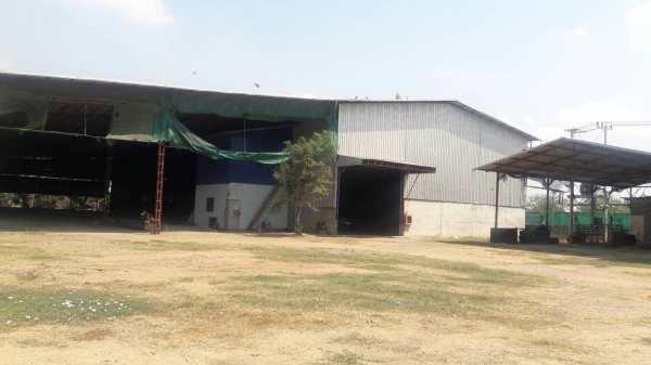 ขายโรงงานผลิต เชื้อเพลิง ชีวมวลอัดแท่ง Wood Pellet