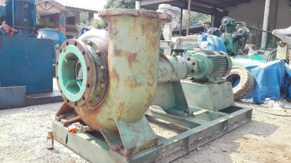 ปั้มน้ำหอยโข่งญี่ปุ่นใบพัดสเตนเลส TORISHIMA PUMP JAPAN ท่อ 10”- 10” ชนมอเตอร์ 15 HP 6 Po ปั้มน้ำหอยโข่งญี่ปุ่นใบพัดสเตนเลส TORISHIMA PUMP JAPAN ท่อ 10”- 10” ชนมอเตอร์ 15 HP 6 Po