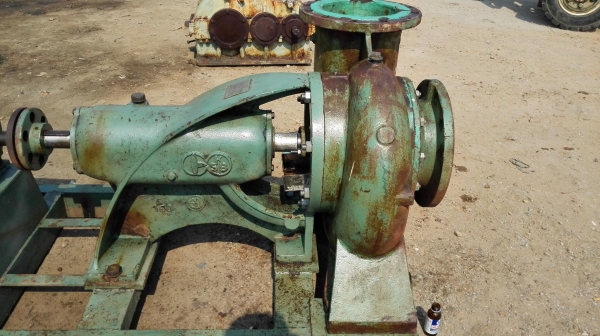 ปั้มน้ำหอยโข่งญี่ปุ่นใบพัดสเตนเลส TORISHIMA PUMP JAPAN ท่อ 10”- 10” ชนมอเตอร์ 15 HP 6 Po ปั้มน้ำหอยโข่งญี่ปุ่นใบพัดสเตนเลส TORISHIMA PUMP JAPAN ท่อ 10”- 10” ชนมอเตอร์ 15 HP 6 Po