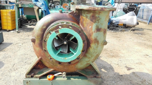 ปั้มน้ำหอยโข่งญี่ปุ่นใบพัดสเตนเลส TORISHIMA PUMP JAPAN ท่อ 10”- 10” ชนมอเตอร์ 15 HP 6 Po ปั้มน้ำหอยโข่งญี่ปุ่นใบพัดสเตนเลส TORISHIMA PUMP JAPAN ท่อ 10”- 10” ชนมอเตอร์ 15 HP 6 Po