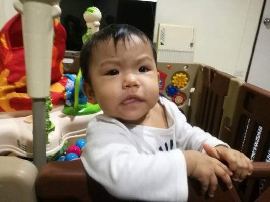 ขายตู้อบไฟฟ้า Made in Germany ขนาดใหญ่ ขายตู้อบไฟฟ้า Made in Germany ขนาดใหญ่