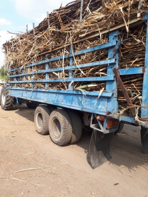 เทเลอร์ขนอ้อยใหญ่สภาพพร้อมใช้ เทเลอร์ขนอ้อยใหญ่สภาพพร้อมใช้