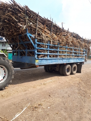 เทเลอร์ขนอ้อยใหญ่สภาพพร้อมใช้