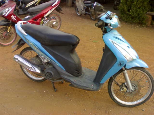 สเตปปี49