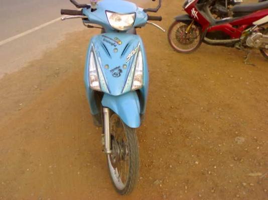 สเตปปี49