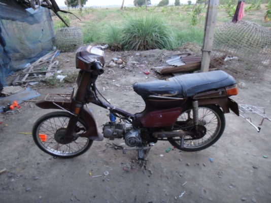 ขาย custom 900