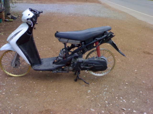 ซากสเตปปี50+ชุดโอน ราคานี้รวมส่ง