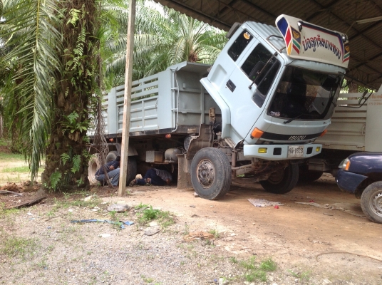 ISUZU 240 ขาวทำฟ้า เครื่อง270 uro2 เครื่องดำ