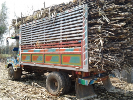 ขาย แต๋น6ล้อใหญ่ๆ ไม่ดั๊ม เครื่องใหม่ KUBOTA RT140+PLUS  14แรง ไม่มีเยิ้ม ช่วงล่างใหญ่ หน้า-หลัง NKR110 คัสซีหน้า5 วางเหล็กเสริมบนหน้า5 เกียร์ใหญ่ 115 เกียร์กลาง ROCKY !!! กระบะเหล็กทั้งลูก ยาว 3.8ม.กว้าง1.9ม.สูง1.7ม. สภาพดี พร้อมใช้ พร้อมลุยงานหนัก จัดอ้