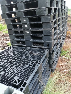 พาเลทพลาสติกมือสอง สภาพ 90\%