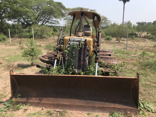 Cat d4d โทร 063-562-9535