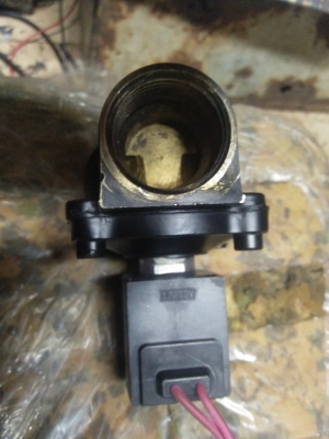 โซลิอย โซลิอย