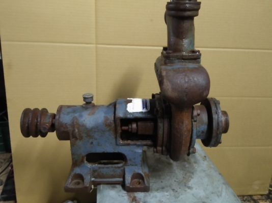 ขายปั๊มบาดานสองนิ้ว