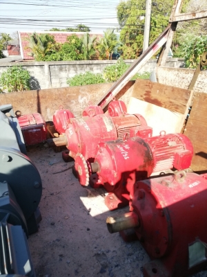 ขายเหมา มอเตอร์เกียร์ยูโรป เกียร์ทด เฟืองเอว ทาวเวอร์เครน ตุ๊กตา ขายเหมา มอเตอร์เกียร์ยูโรป เกียร์ทด เฟืองเอว ทาวเวอร์เครน ตุ๊กตา