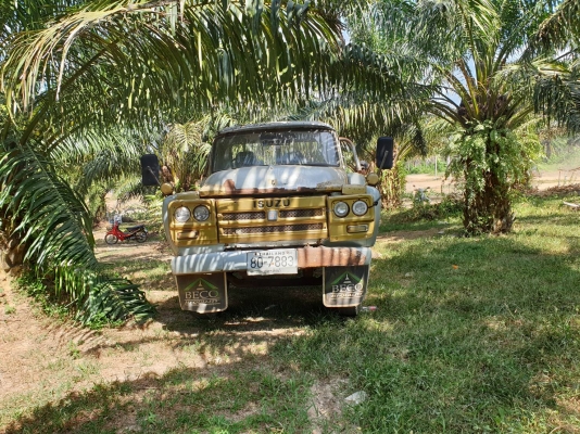 ขายรถบรรทุกหัวยาว 10 ล้ัอเทรลเลอร์ ISUZU145 แรงม้ามีสะพานหลังทะเบียนแจ้งม.79 ราคา 180,000