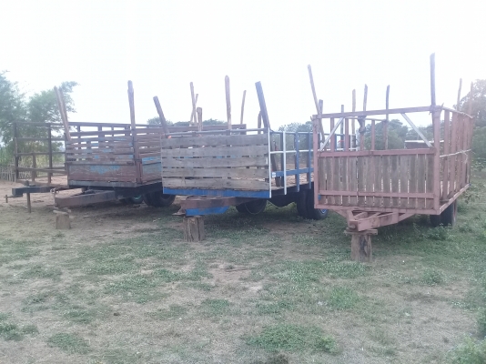 ขายสาลี่ พร้อมใช้งานทุกตัวครับ ขายสาลี่ พร้อมใช้งานทุกตัวครับ