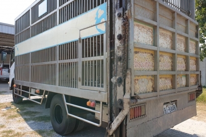 กรงหมู 2 ชั้น ยาว 5.1 ม. กว้าง 2.3 ม. สูง 2.2 ม. คัสซี 85 ซม. โทร 081-4252943