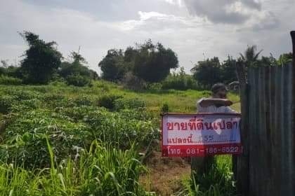 ที่ดินเปล่า ที่ดินเปล่า