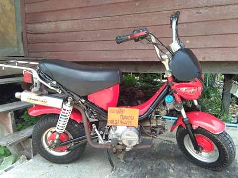 Yamaha chappy ชิปปี้แท้ครับ