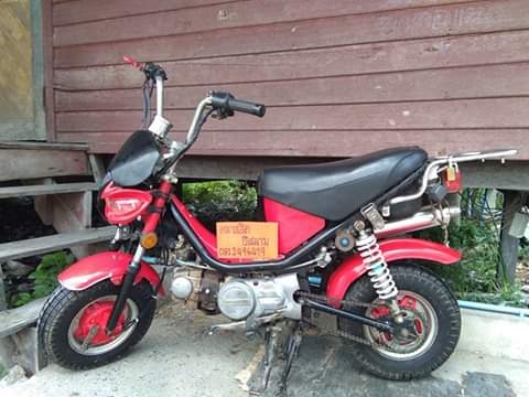 Yamaha chappy ชิปปี้แท้ครับ Yamaha chappy ชิปปี้แท้ครับ