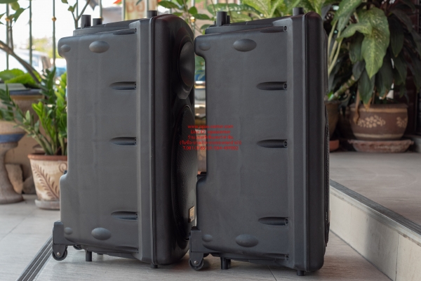 ตู้ลำโพง ดอก 15 นิ้ว NEXO R15 850 วัตต์ ขนาดตู้ 43 x 66 x 35 cm พร้อมใช้งาน
