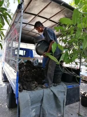 -รับงานขุดลอกท่อระบายน้ำ ทำความสะอาดท่อระบายน้ำ