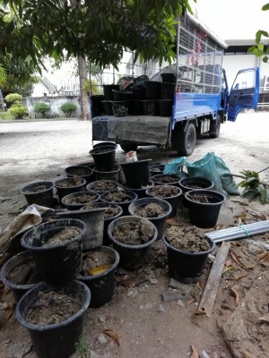 -รับงานขุดลอกท่อระบายน้ำ ทำความสะอาดท่อระบายน้ำ -รับงานขุดลอกท่อระบายน้ำ ทำความสะอาดท่อระบายน้ำ