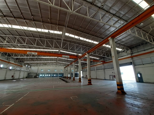 ขายครับ เสารองรับรันเวย์เครนสูง6เมตร มี9ต้น ขนาด300×500มี 9ต้น น้ำหนักประมาณ7ตันครับ โลละ15 บาทครับ ขายครับ เสารองรับรันเวย์เครนสูง6เมตร มี9ต้น ขนาด300×500มี 9ต้น น้ำหนักประมาณ7ตันครับ โลละ15 บาทครับ