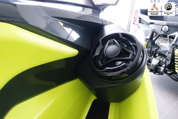 SEADOO 2018 RXTX 300